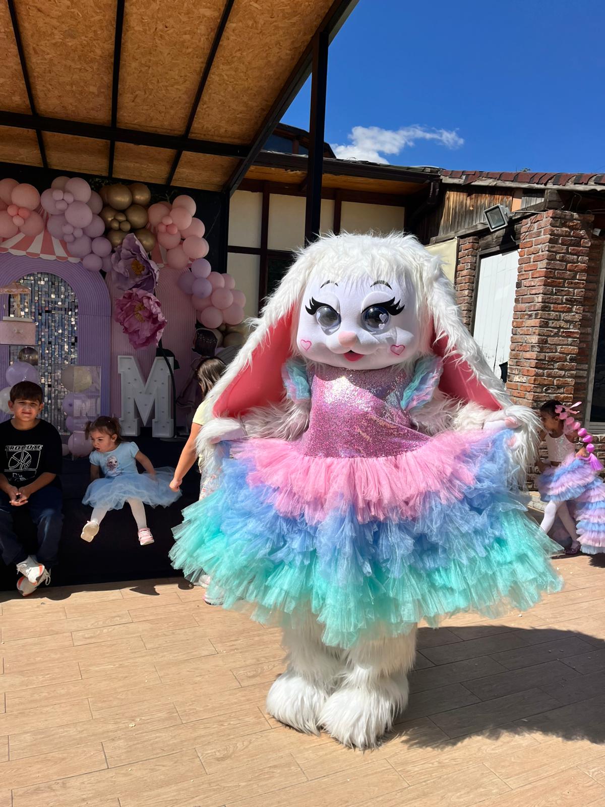 Ankara Kedi Maskot Kiralama