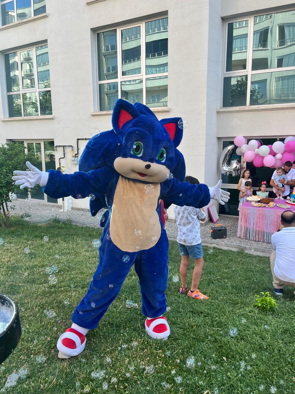 Ankara Sonic Maskot Kiralama