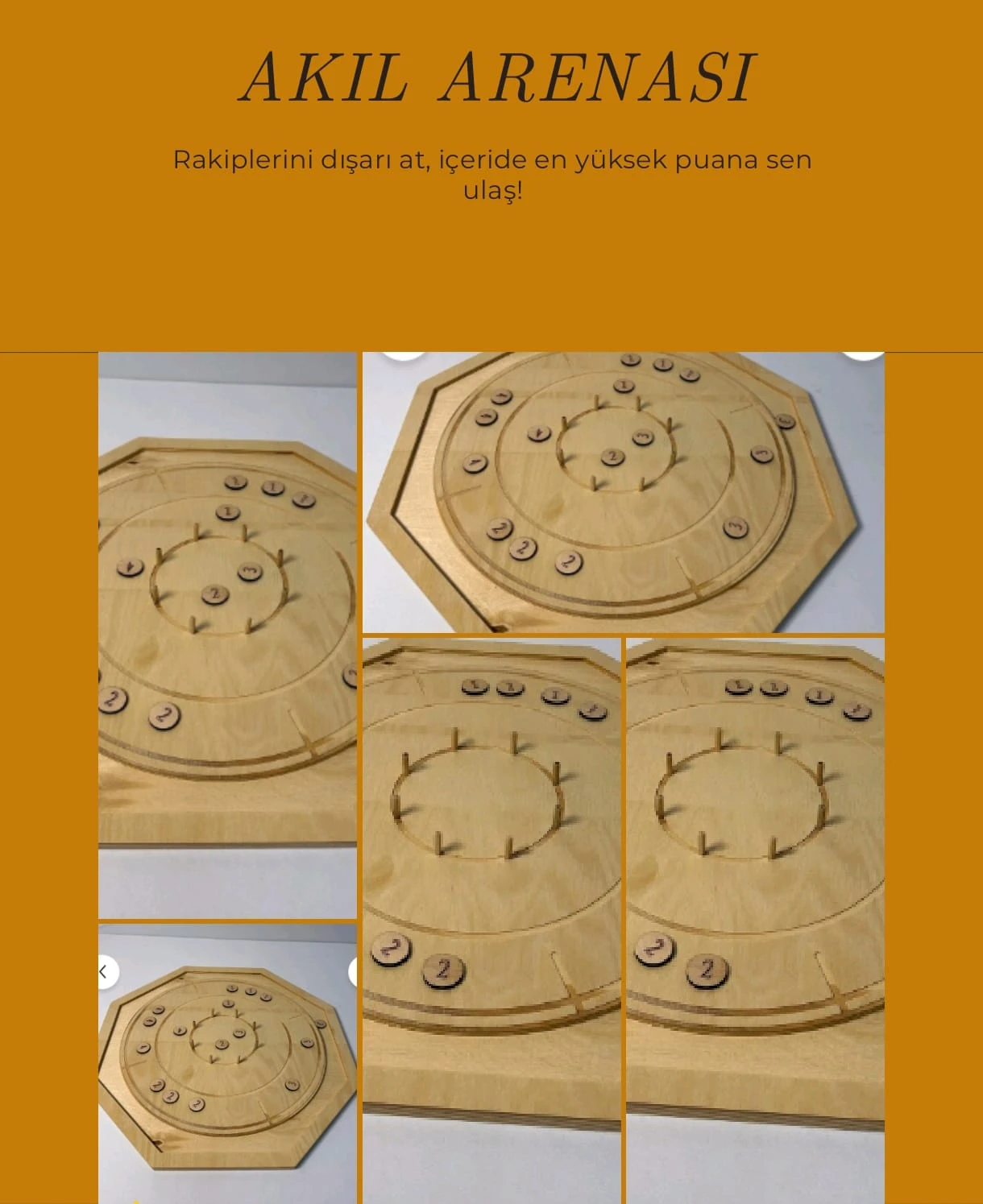 Akıl Arenası